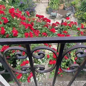 La Maison Des Augustins 4 Stars Et Fitness Bed & Breakfast Avignon